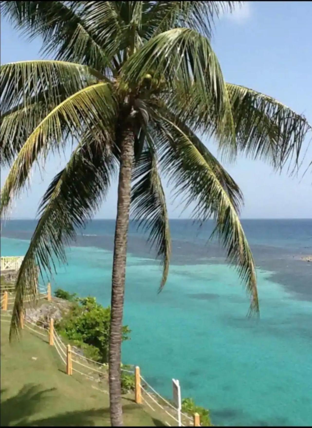 Munzels Boho Beach Retreat Lägenhet Ocho Rios Exteriör bild